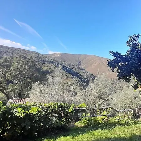 Holiday home Adcasinha Em Arganil Adcasal