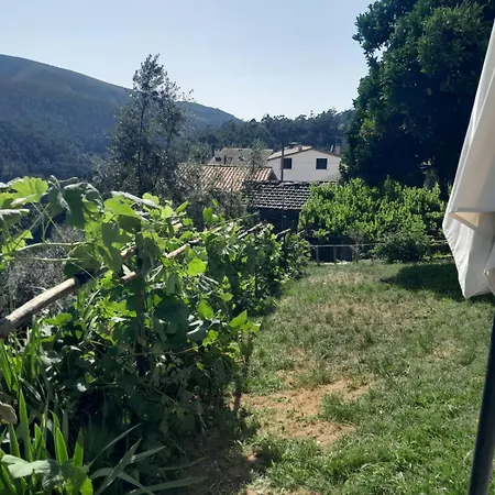 Adcasinha Em Arganil Holiday home