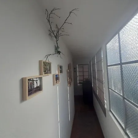 Adcasinha Em Arganil Adcasal