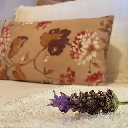 別荘 Adcasinha Em Arganil *