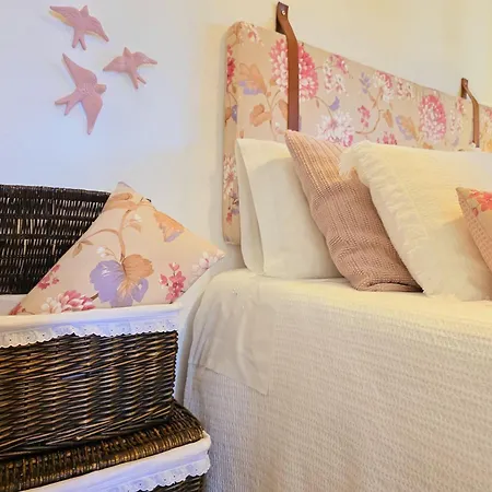 Adcasinha Em Arganil *