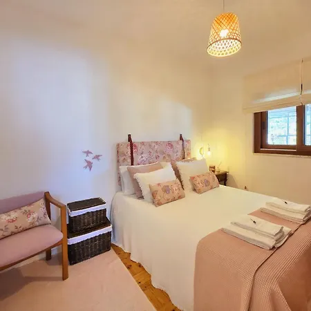 Adcasinha Em Arganil