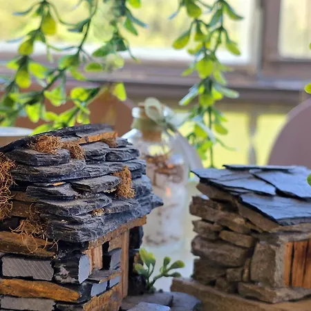 Adcasinha Em Arganil