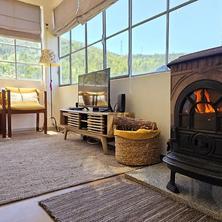 Adcasinha Em Arganil *