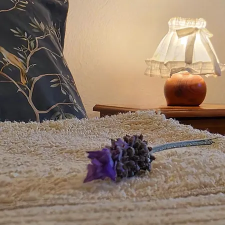 Adcasinha Em Arganil *