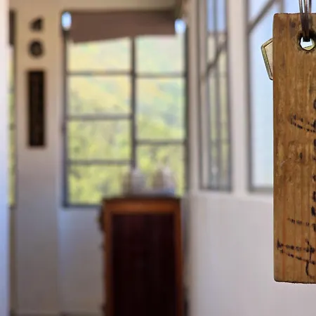 Adcasinha Em Arganil Adcasal