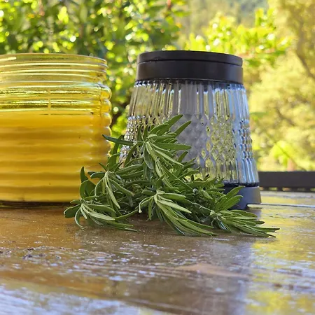 Adcasinha Em Arganil Adcasal