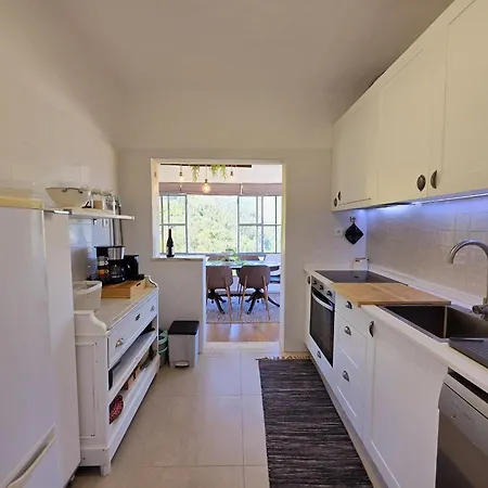 Adcasinha Em Arganil Adcasal