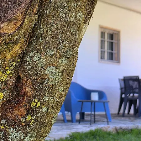 Adcasinha Em Arganil 別荘 *