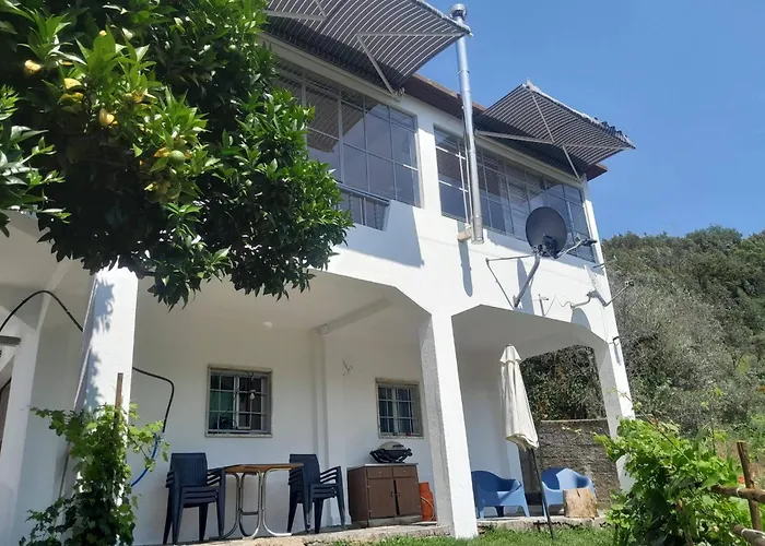 Adcasinha Em Arganil