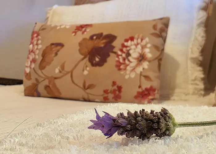 Feriehus Adcasinha Em Arganil *