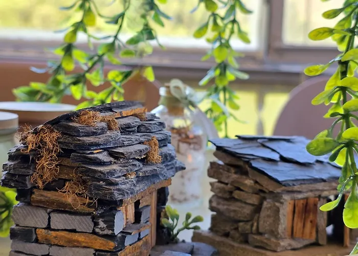 Adcasinha Em Arganil