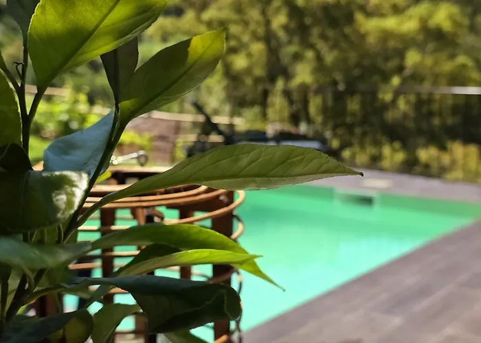 Adcasinha Em Arganil