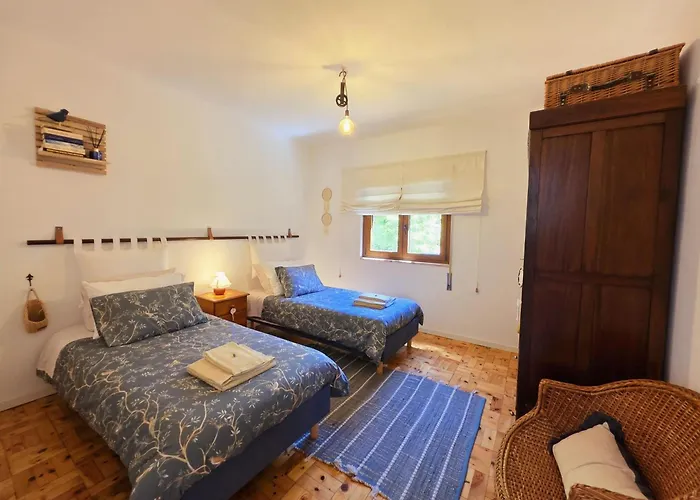 Adcasinha Em Arganil *