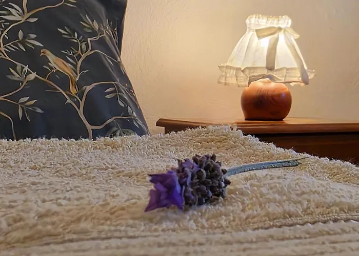 Adcasinha Em Arganil *