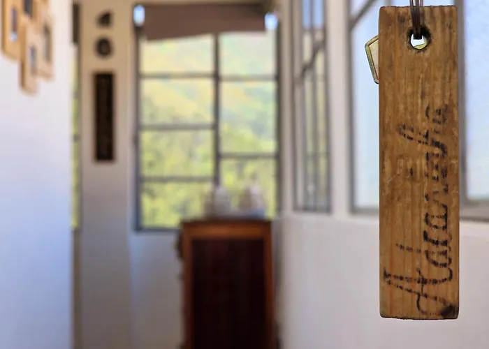 Adcasinha Em Arganil Adcasal