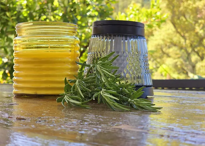 Adcasinha Em Arganil Adcasal