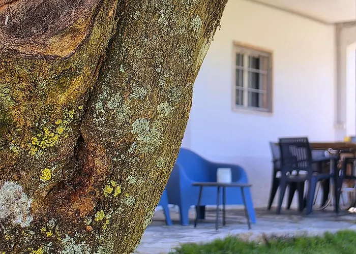 Adcasinha Em Arganil Feriehus *