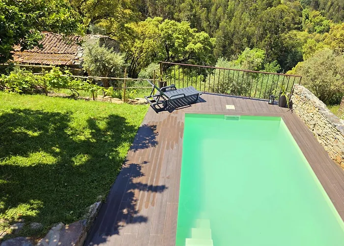 Adcasinha Em Arganil